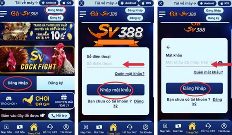 Quy trình vào tài khoản Sv388 đơn giản